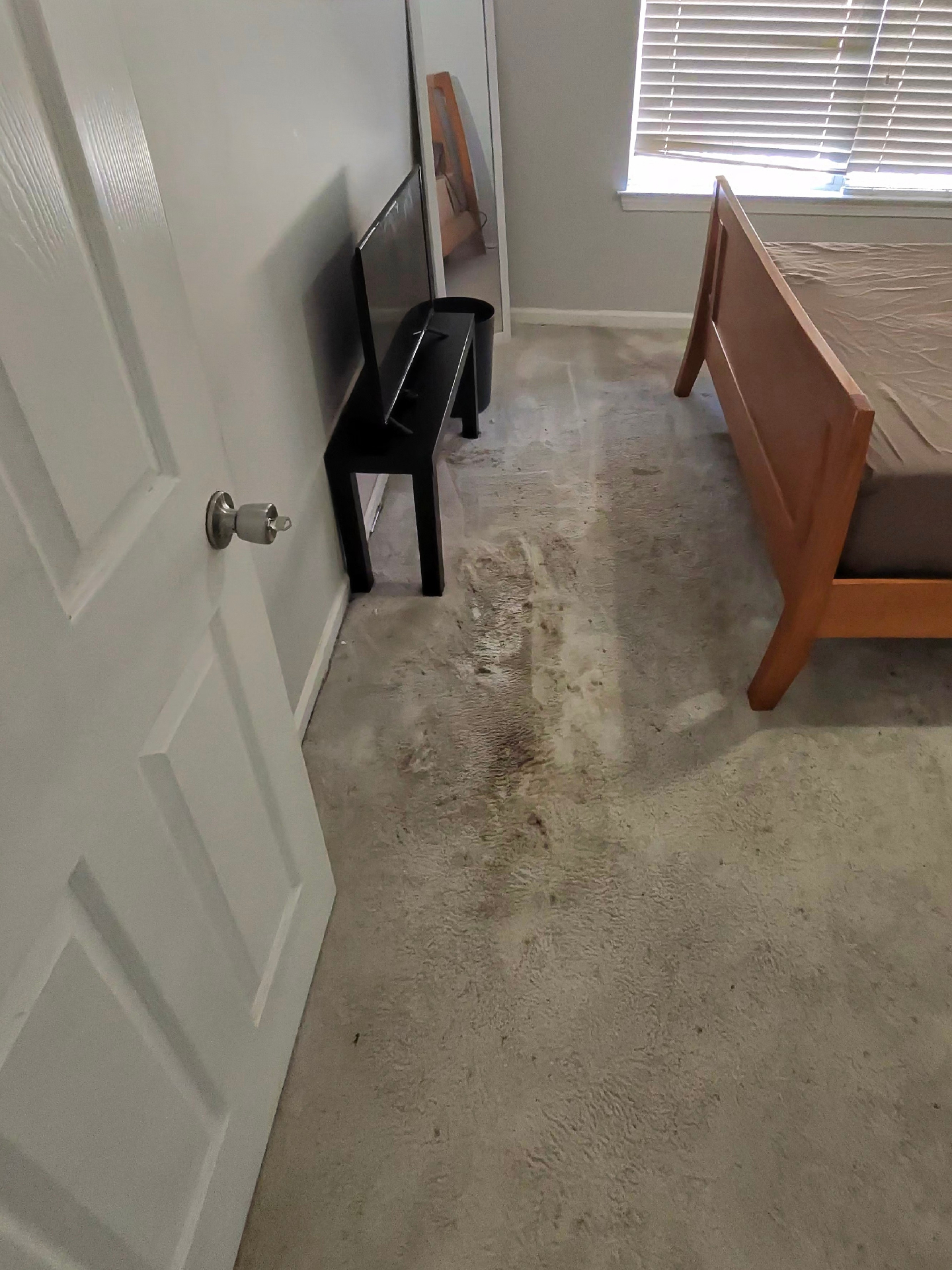 Bedroom carpet — heavy soil — before